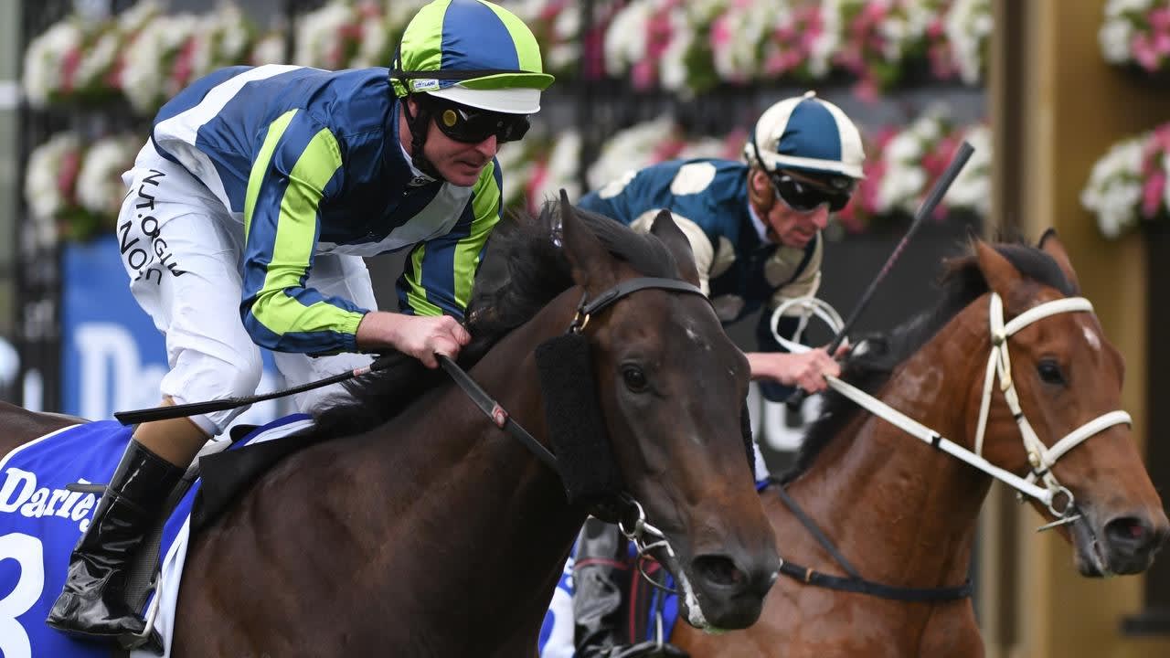 Hard Landing makes return at The Valley