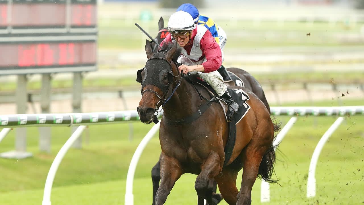 Summer test for Mr Bellagio at Eagle Farm