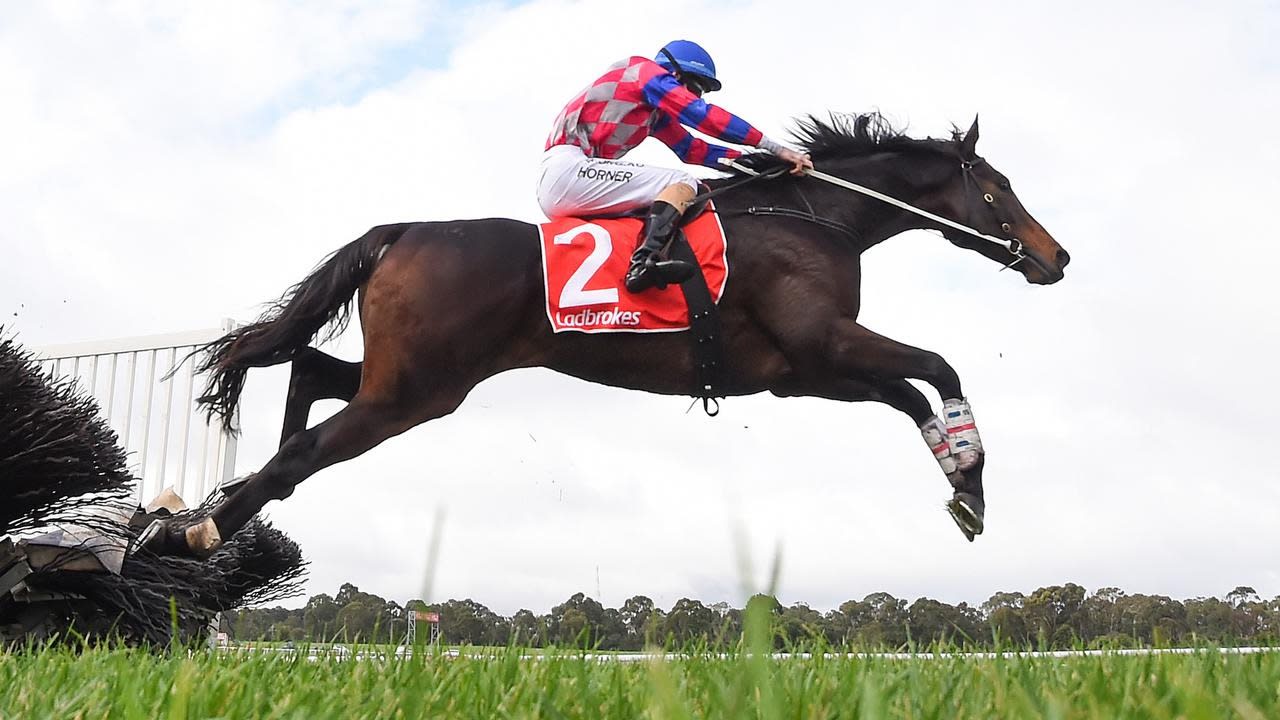 Gobstopper to scale Grand National Hurdle