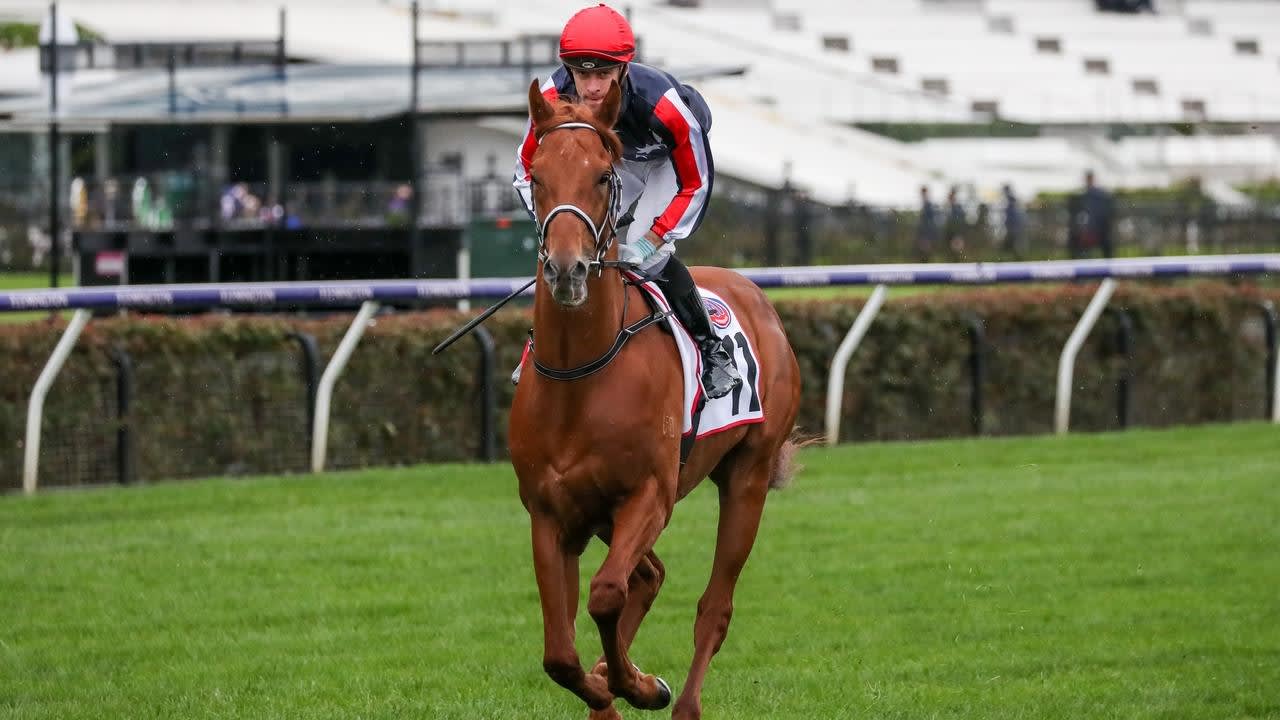 Leon MacDonald hoping history can repeat