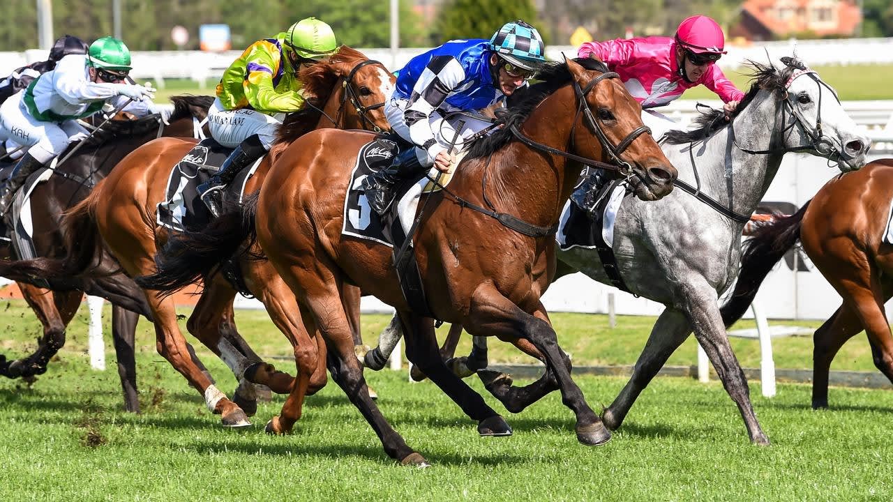 Danny O'Brien hits a winner with Graff