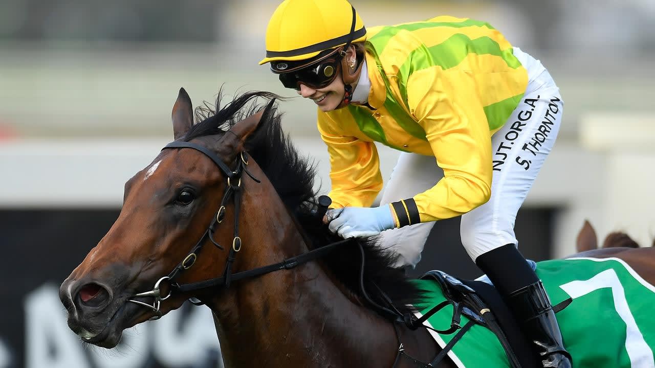 Sugar poised to go Boom in Swiss Ace Plate