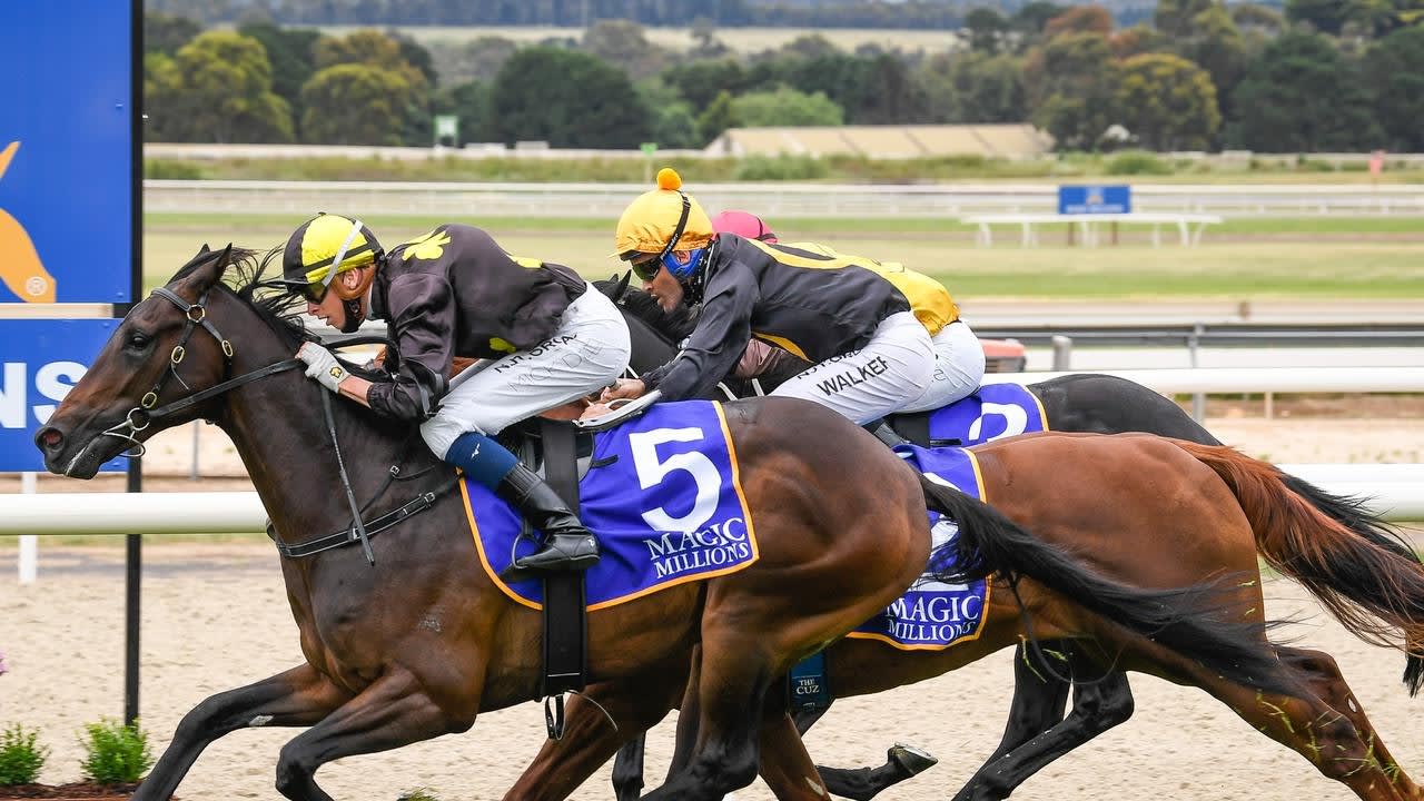 Sydney colt swoops home to win Classic