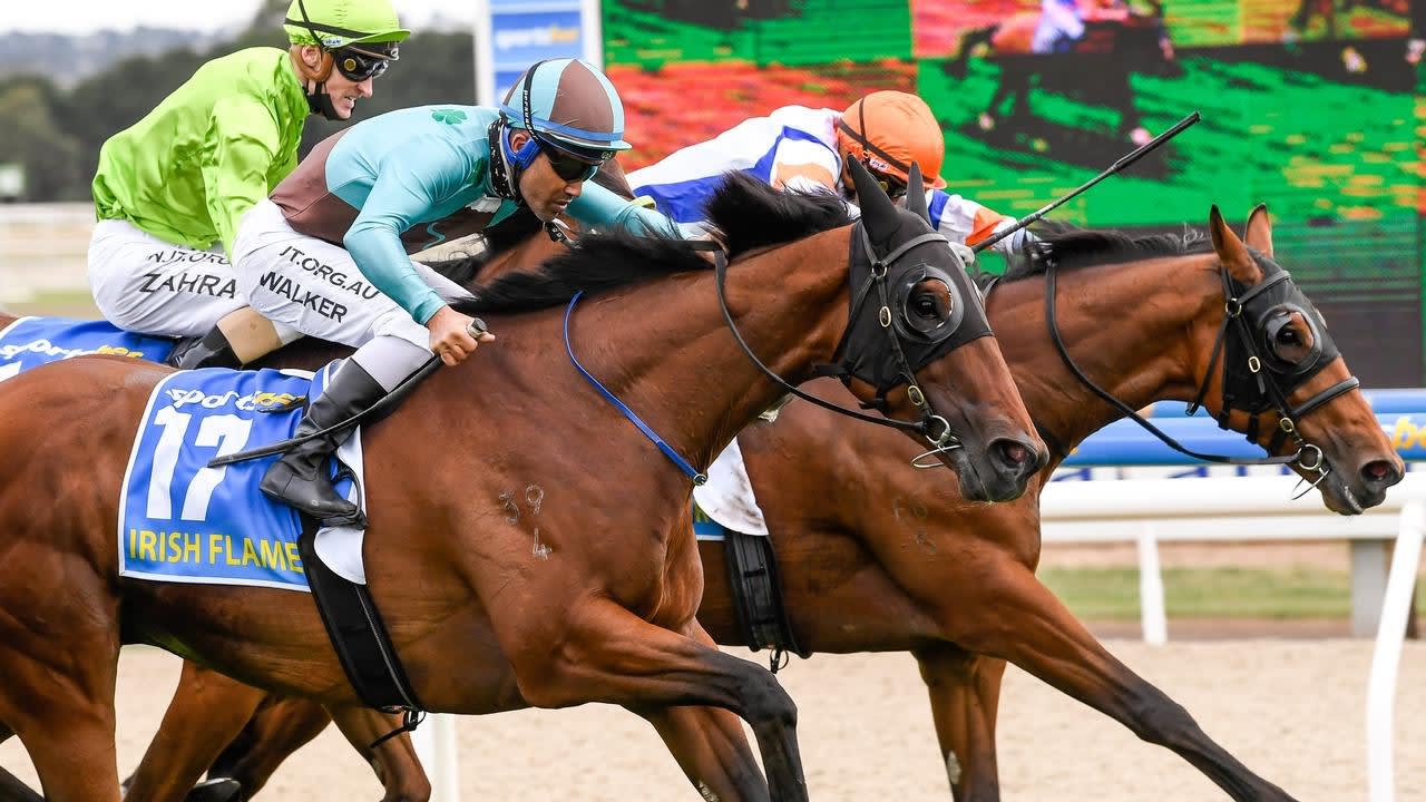 Irish Flame fights on for tough Cup win