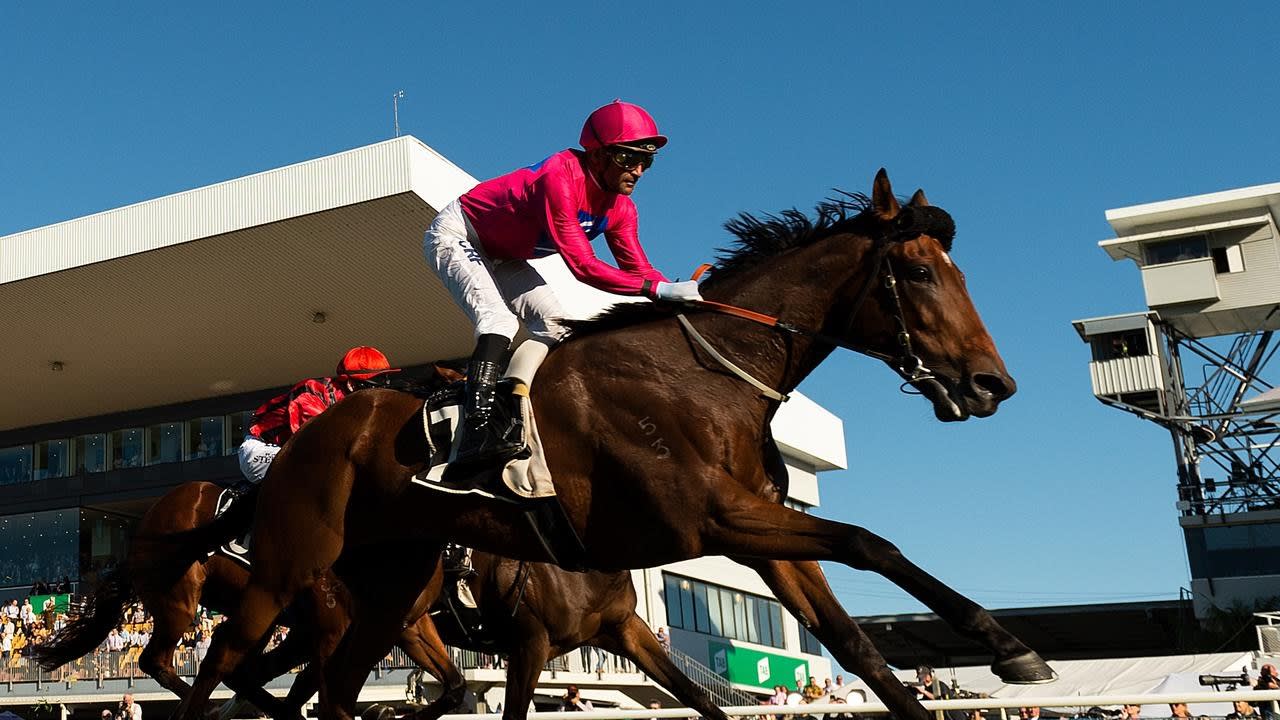 The Gong goes to Archedemus in an upset