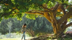 Mental Health Can Affect Physical Health