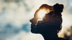 Best Online Mediums Reading Sites