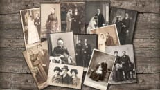 De beste genealogie-websites van {year}