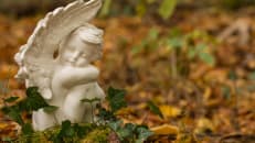 An angel statue sits on the ground in the forest