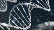 Close up of DNA strand