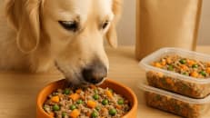 Dogs' food