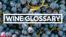 Wine Glossary