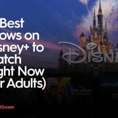 10 Best Shows on Disney+ to Watch Right Now (for Adults)