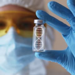 DNA vs. RNA: 10 Key Differences in Structure & Function