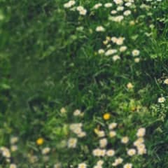 Top 10 Best Meditation Apps in {year}