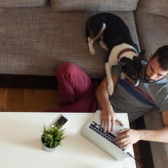 Why More Options Cause Shoppers Less Happiness