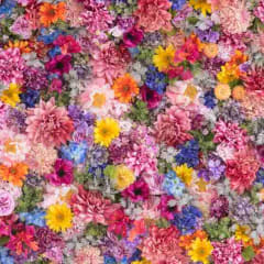 Understanding the Secret Messages of Flowers and Their Colors
