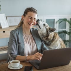 10 Questions You Should Consider Before Fostering a Dog