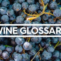 Wine Words Every Wine Lover Should Know