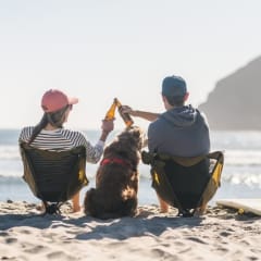 The Top 10 Best Cities for Dogs in the US