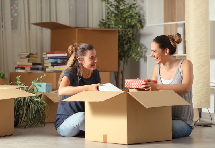 Best Home Security for Renters