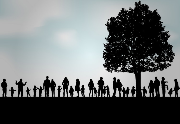 The 6 Best Family Tree Building Software