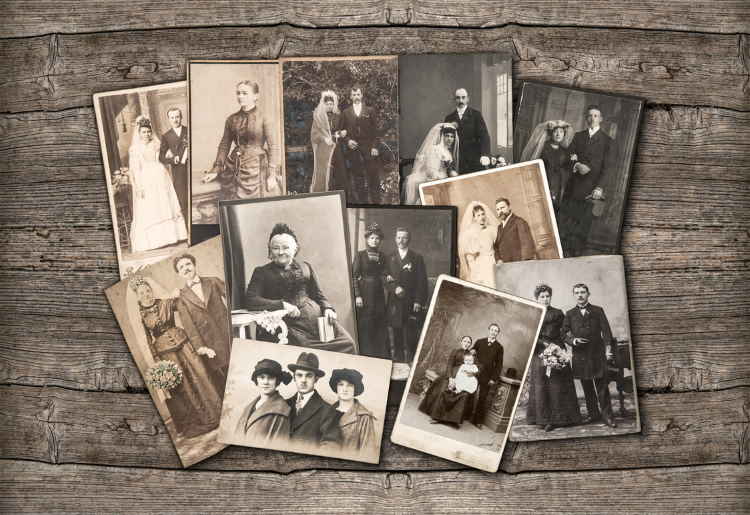 family tree