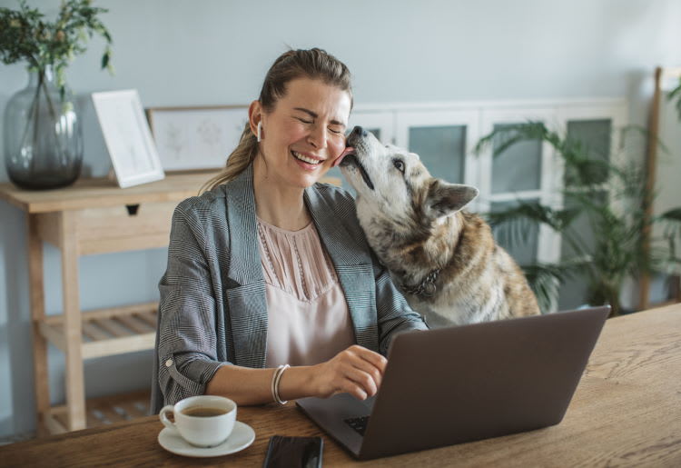 10 Questions You Should Consider Before Fostering a Dog