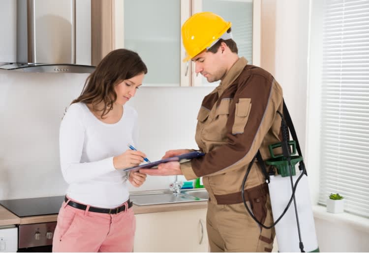 How Much Should You Expect to Pay for Pest Control?