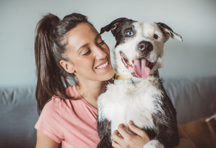 Top 10 Errors All Pet Owners Make and How You Can Avoid Them