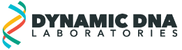 dynamic-dna
