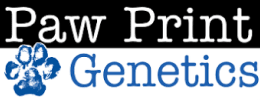 paw-print-genetics