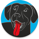 BringFido