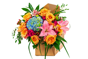 Bloomsybox