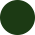Seed